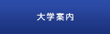 大学案内