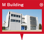 M Building