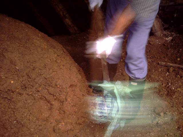 xg̒@
