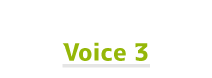 voice01