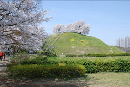 さきたま古墳・小山−もっくん日記
