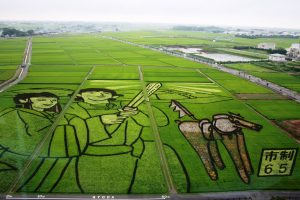田んぼアート
