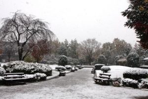 20161124初雪